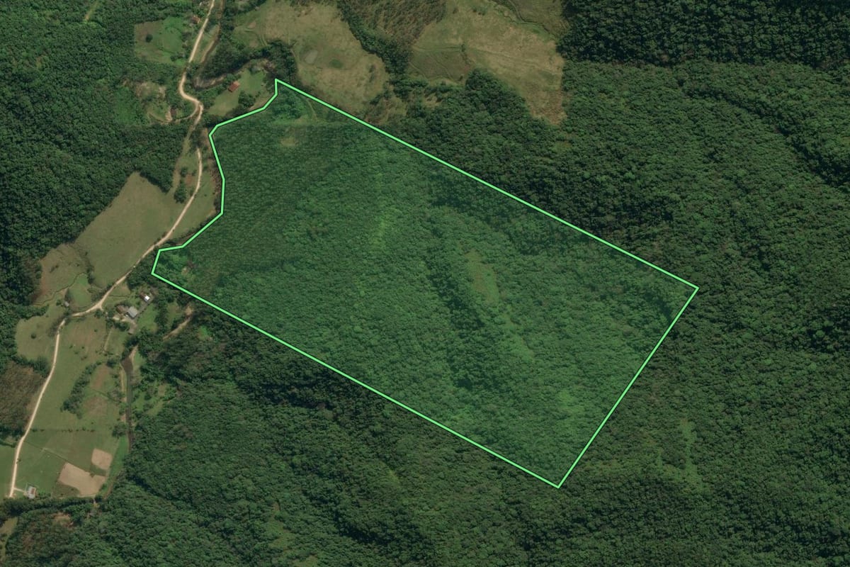 Imagem de satélite do imóvel rural em Apiúna (SC), com o contorno declarado no CAR desenhado por cima.