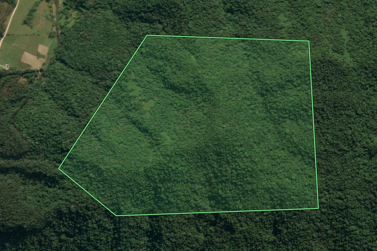 Imagem de satélite do imóvel rural em Apiúna (SC), com o contorno declarado no CAR desenhado por cima.
