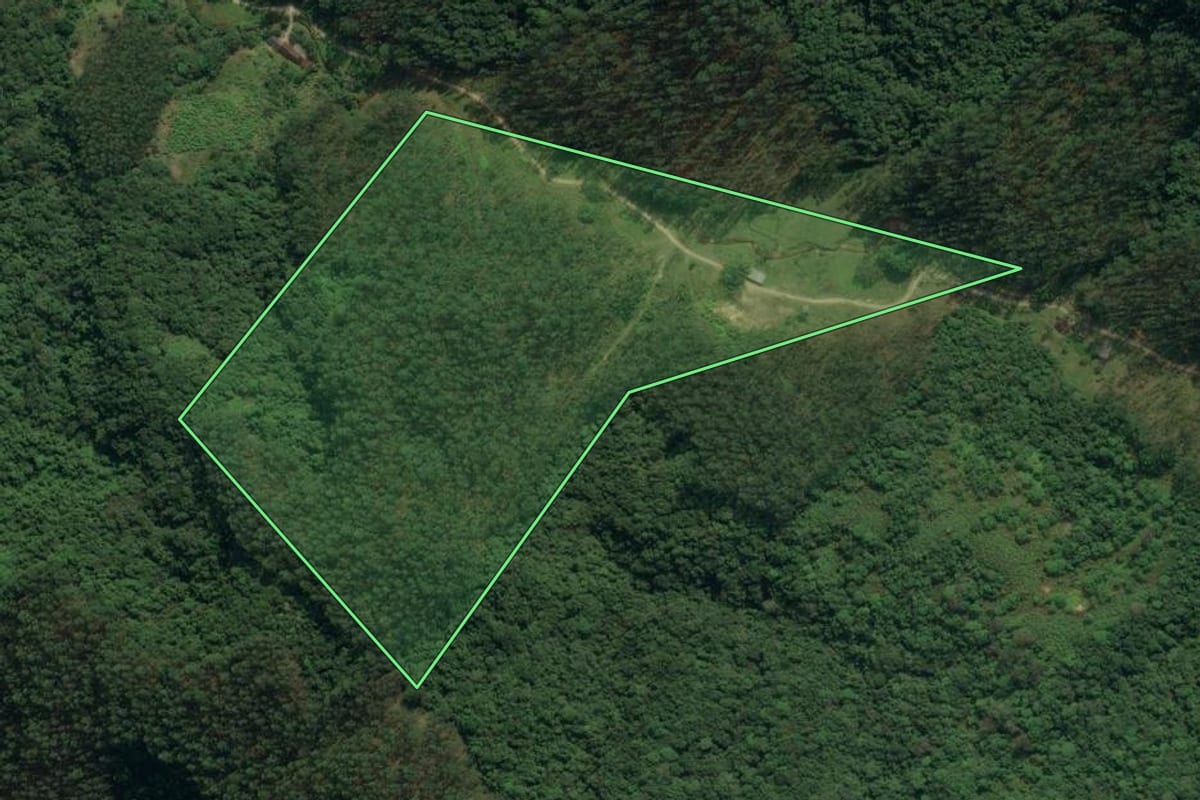 Imagem de satélite do imóvel rural em Apiúna (SC), com o contorno declarado no CAR desenhado por cima.