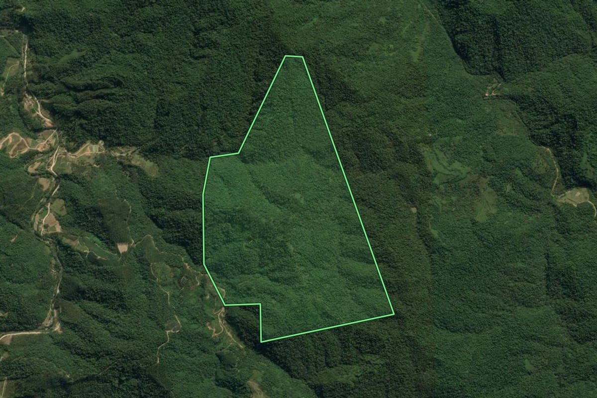 Imagem de satélite do imóvel rural em Apiúna (SC), com o contorno declarado no CAR desenhado por cima.