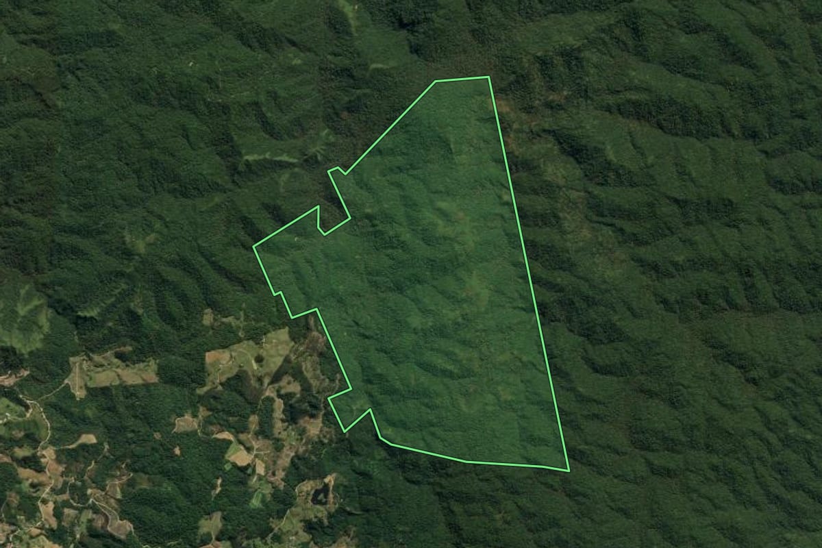 Imagem de satélite do imóvel rural em Apiúna (SC), com o contorno declarado no CAR desenhado por cima.