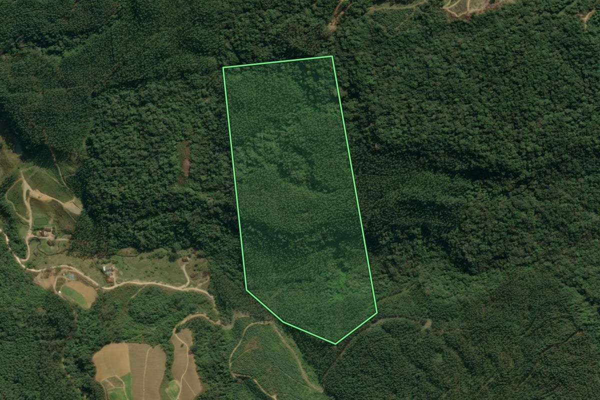 Imagem de satélite do imóvel rural em Apiúna (SC), com o contorno declarado no CAR desenhado por cima.