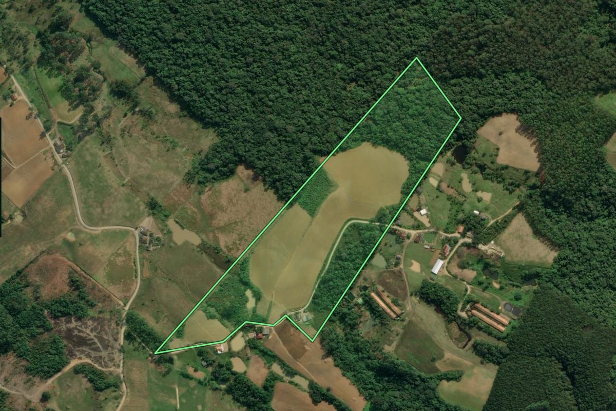 Imagem de satélite do imóvel rural em Apiúna (SC), com o contorno declarado no CAR desenhado por cima.