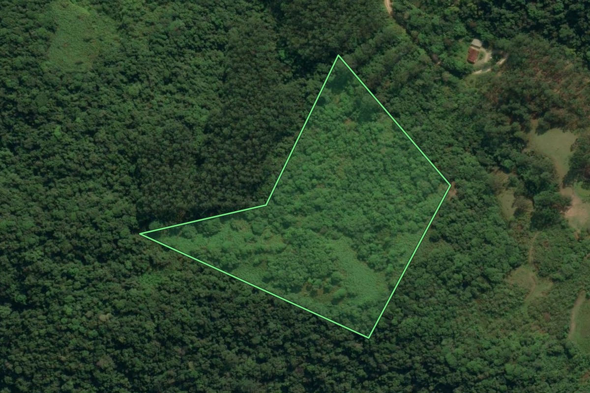 Imagem de satélite do imóvel rural em Apiúna (SC), com o contorno declarado no CAR desenhado por cima.