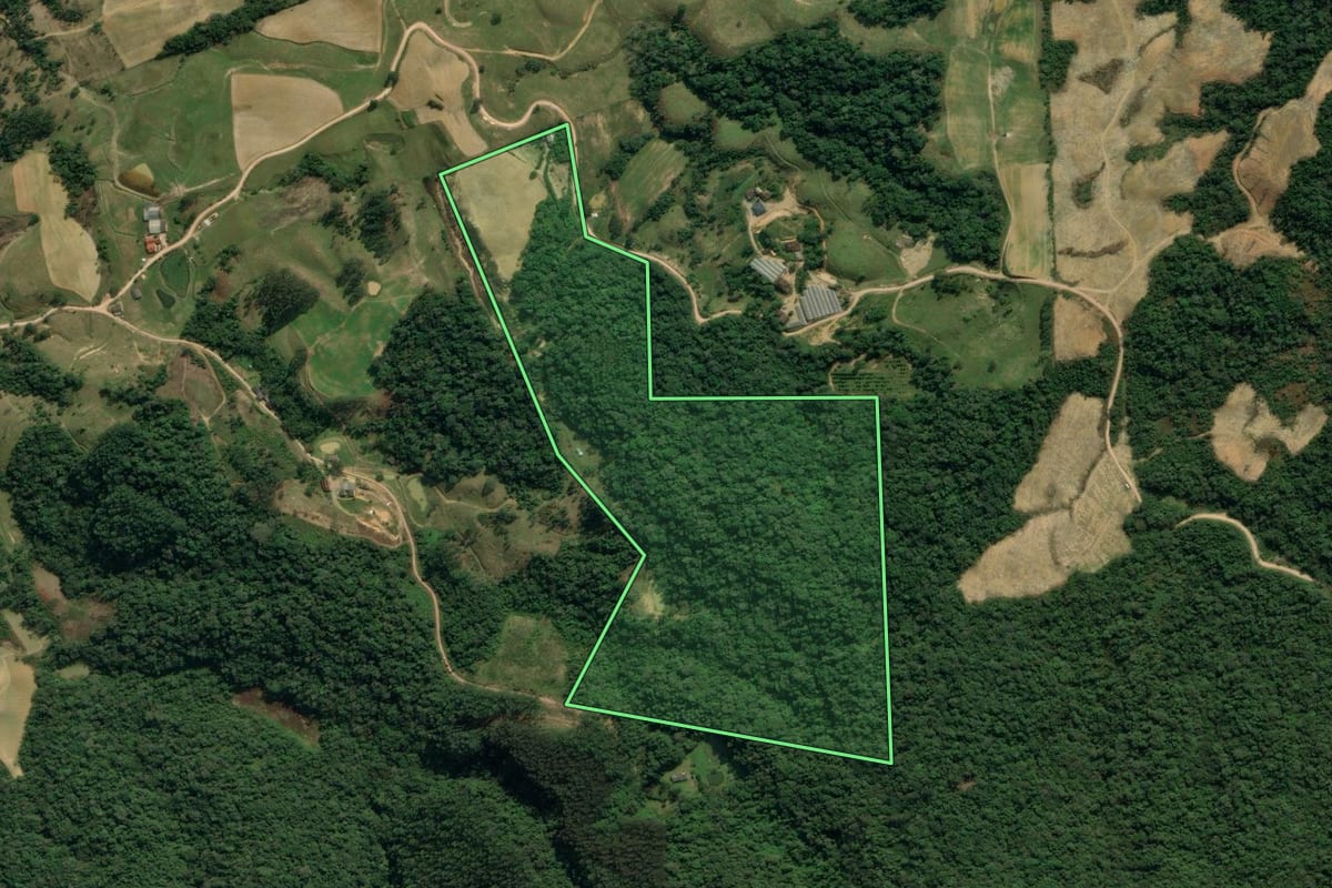 Imagem de satélite do imóvel rural em Apiúna (SC), com o contorno declarado no CAR desenhado por cima.