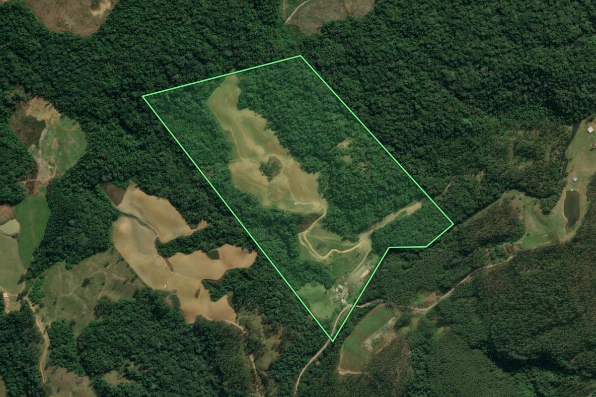 Imagem de satélite do imóvel rural em Apiúna (SC), com o contorno declarado no CAR desenhado por cima.