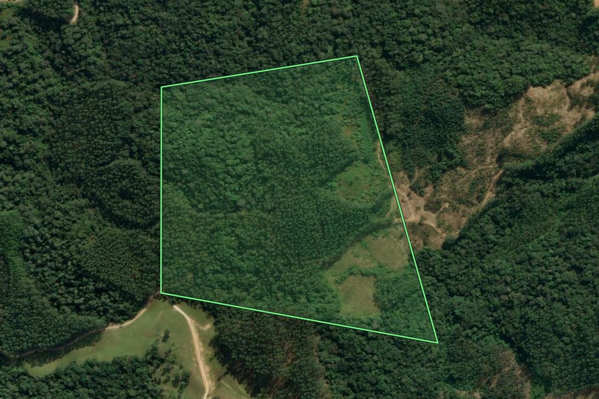 Imagem de satélite do imóvel rural em Apiúna (SC), com o contorno declarado no CAR desenhado por cima.