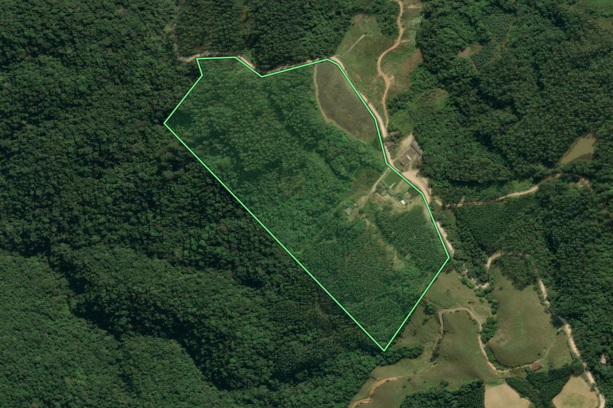 Imagem de satélite do imóvel rural em Apiúna (SC), com o contorno declarado no CAR desenhado por cima.