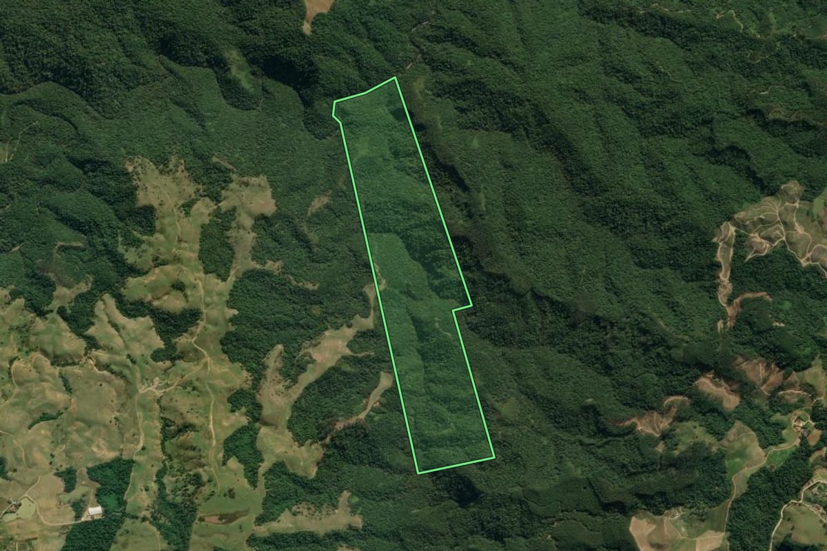 Imagem de satélite do imóvel rural em Apiúna (SC), com o contorno declarado no CAR desenhado por cima.