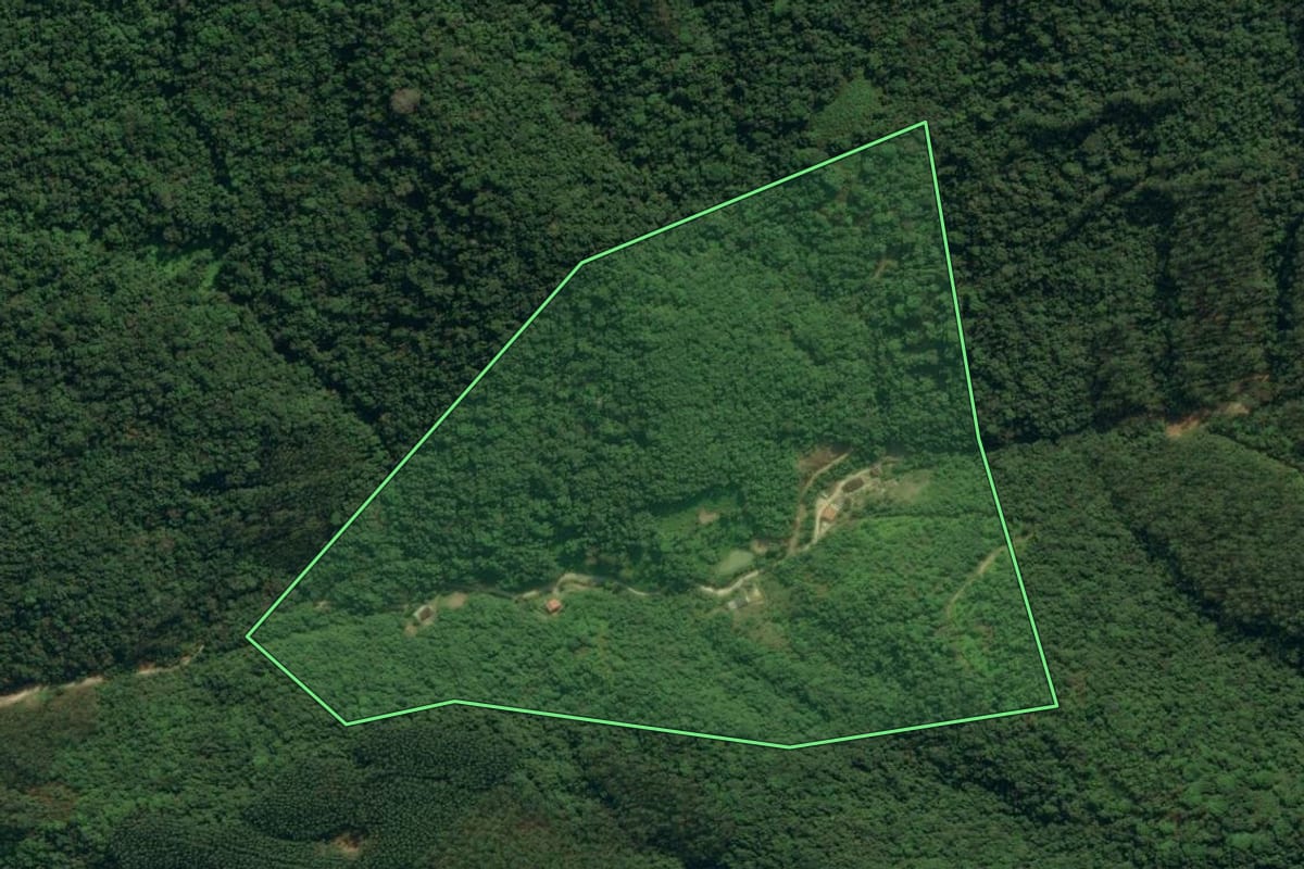Imagem de satélite do imóvel rural em Apiúna (SC), com o contorno declarado no CAR desenhado por cima.