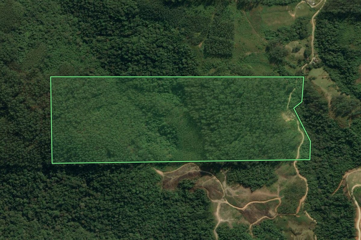 Imagem de satélite do imóvel rural em Apiúna (SC), com o contorno declarado no CAR desenhado por cima.