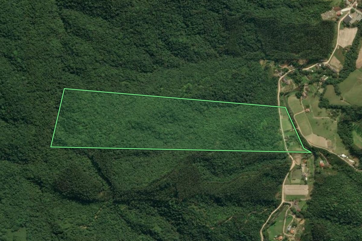 Imagem de satélite do imóvel rural em Apiúna (SC), com o contorno declarado no CAR desenhado por cima.