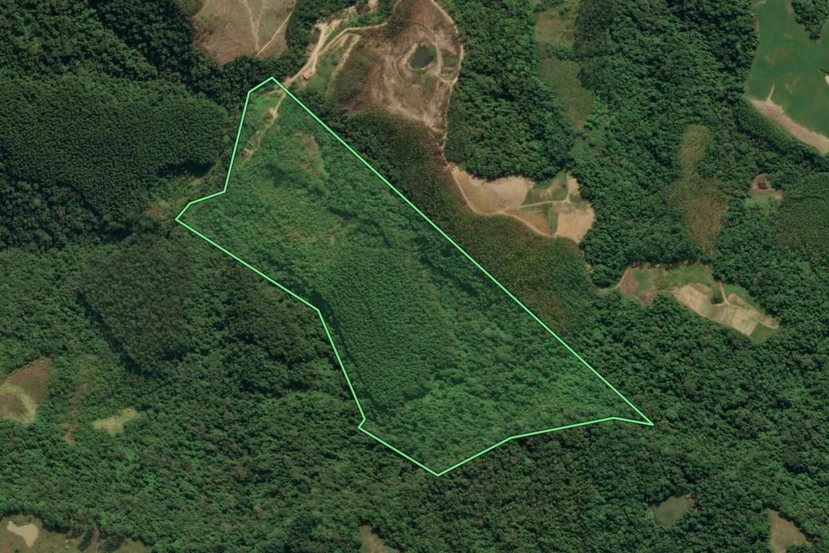 Imagem de satélite do imóvel rural em Apiúna (SC), com o contorno declarado no CAR desenhado por cima.
