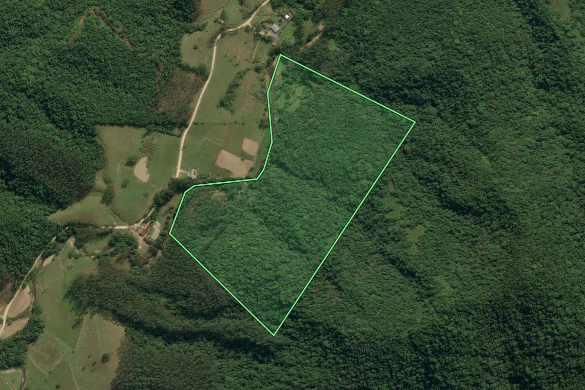 Imagem de satélite do imóvel rural em Apiúna (SC), com o contorno declarado no CAR desenhado por cima.