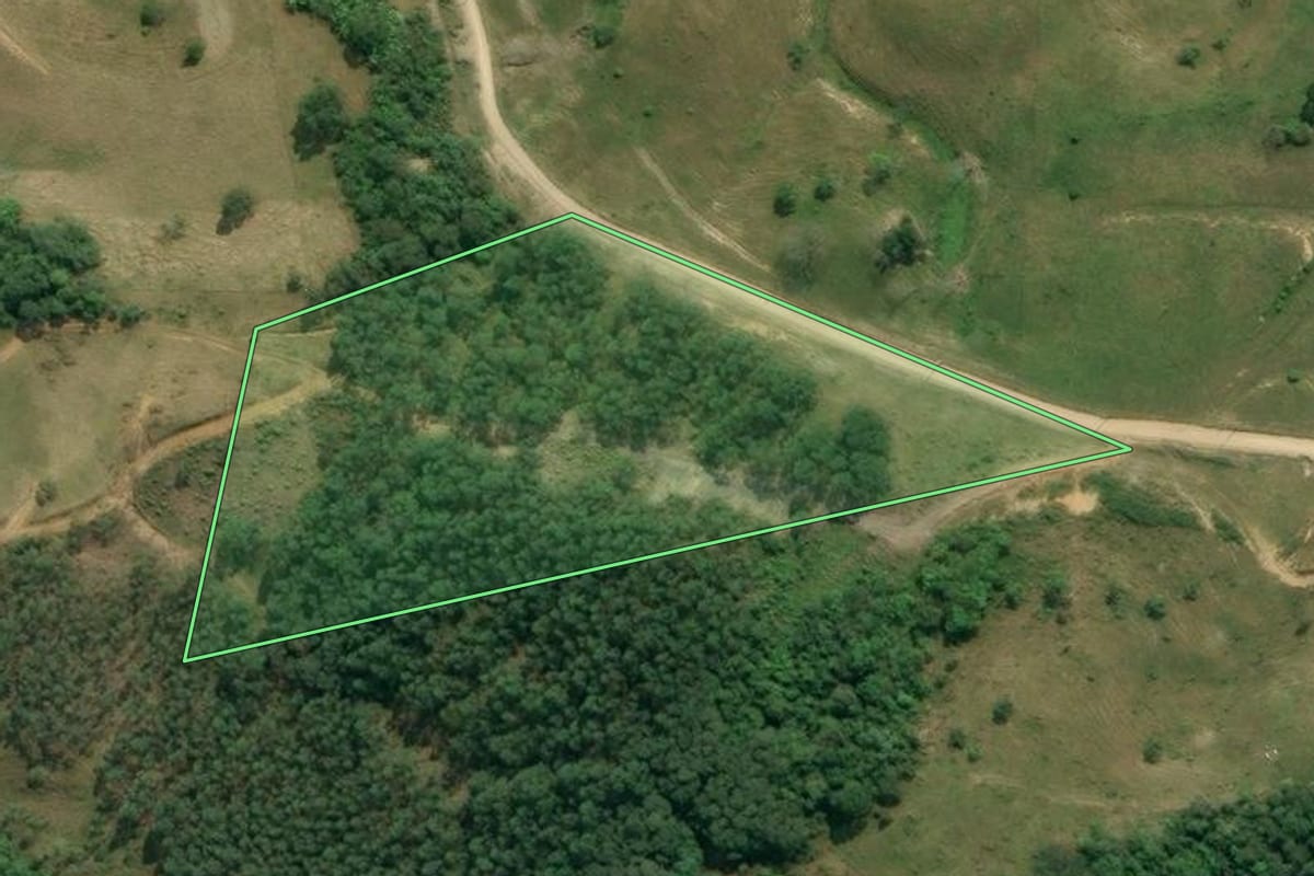 Imagem de satélite do imóvel rural em Apiúna (SC), com o contorno declarado no CAR desenhado por cima.