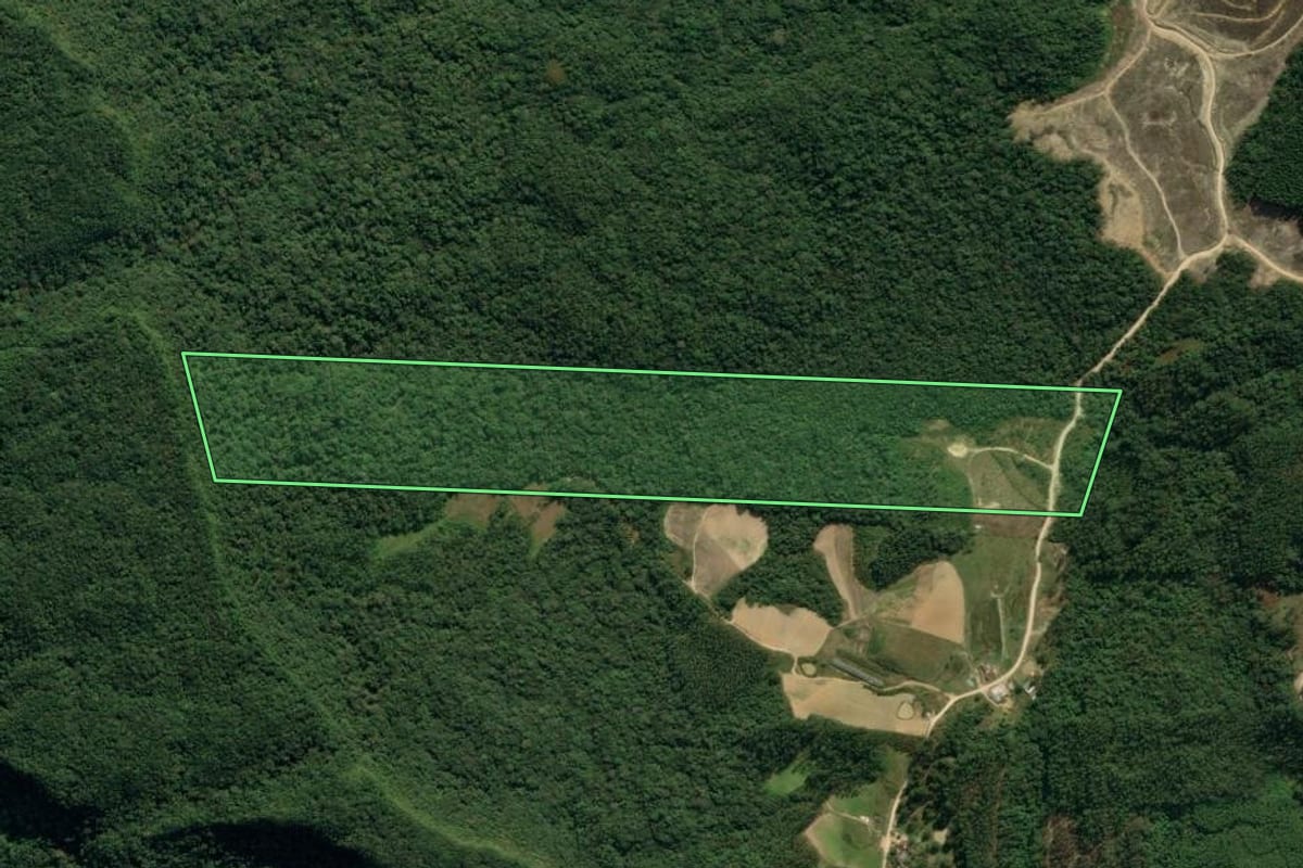 Imagem de satélite do imóvel rural em Apiúna (SC), com o contorno declarado no CAR desenhado por cima.