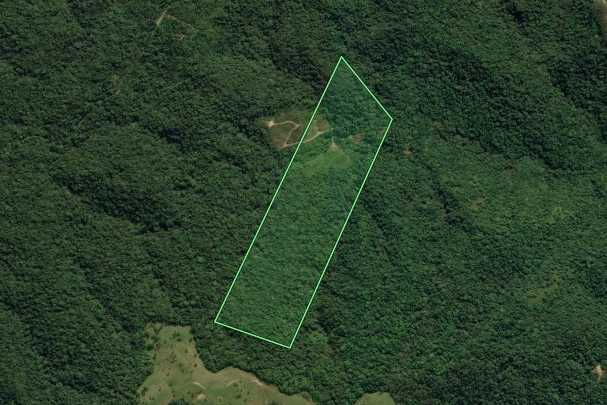 Imagem de satélite do imóvel rural em Apiúna (SC), com o contorno declarado no CAR desenhado por cima.