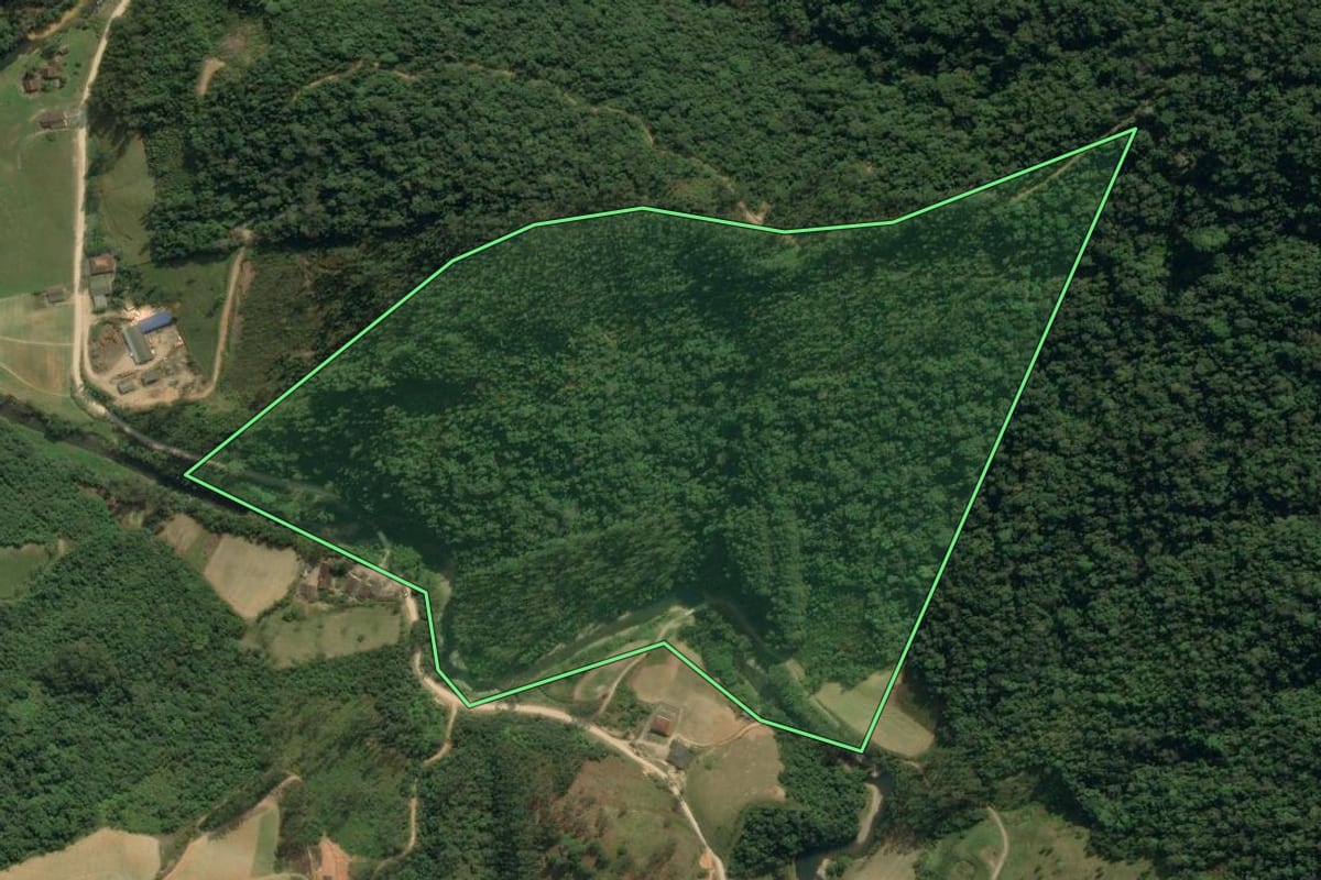 Imagem de satélite do imóvel rural em Apiúna (SC), com o contorno declarado no CAR desenhado por cima.