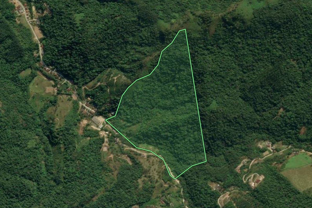 Imagem de satélite do imóvel rural em Apiúna (SC), com o contorno declarado no CAR desenhado por cima.