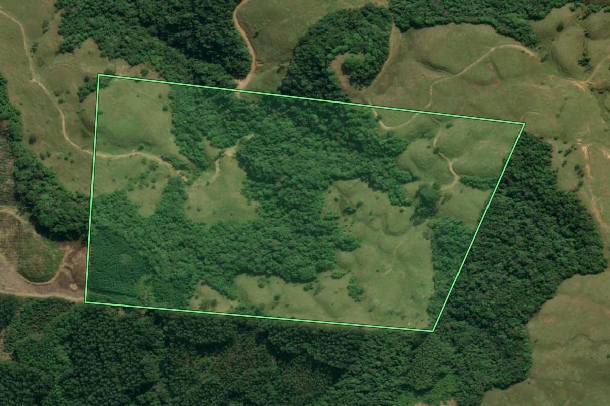 Imagem de satélite do imóvel rural em Apiúna (SC), com o contorno declarado no CAR desenhado por cima.