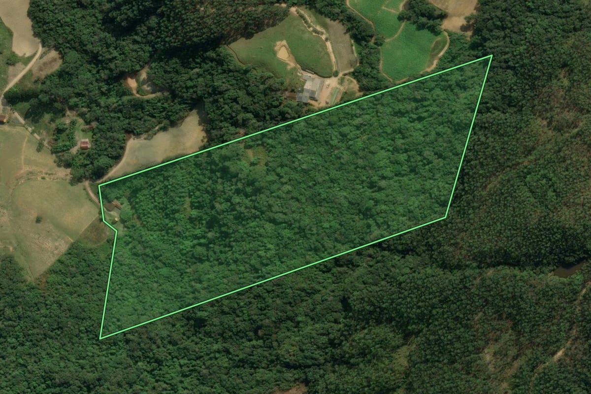 Imagem de satélite do imóvel rural em Apiúna (SC), com o contorno declarado no CAR desenhado por cima.