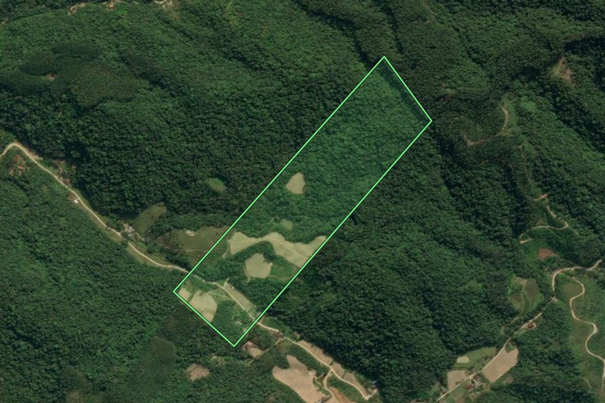 Imagem de satélite do imóvel rural em Apiúna (SC), com o contorno declarado no CAR desenhado por cima.