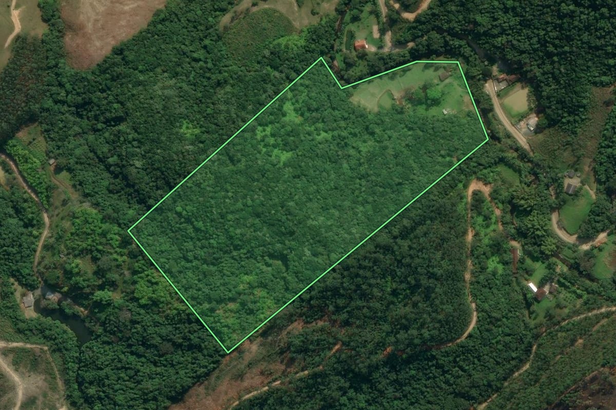 Imagem de satélite do imóvel rural em Apiúna (SC), com o contorno declarado no CAR desenhado por cima.