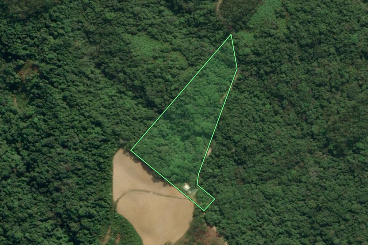 Imagem de satélite do imóvel rural em Apiúna (SC), com o contorno declarado no CAR desenhado por cima.