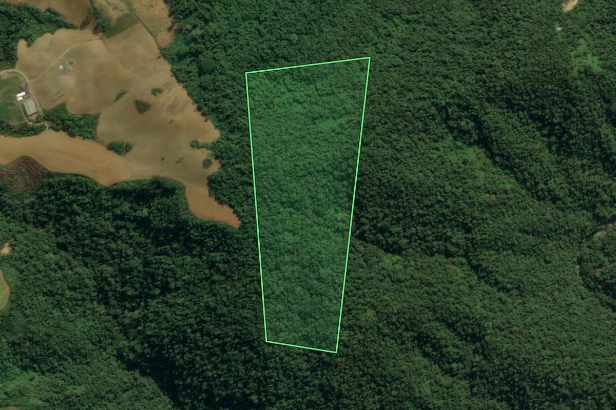 Imagem de satélite do imóvel rural em Apiúna (SC), com o contorno declarado no CAR desenhado por cima.