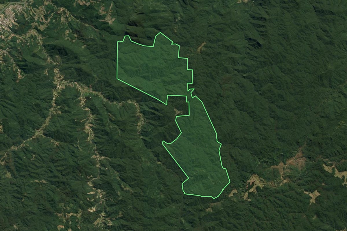 Imagem de satélite do imóvel rural em Apiúna (SC), com o contorno declarado no CAR desenhado por cima.