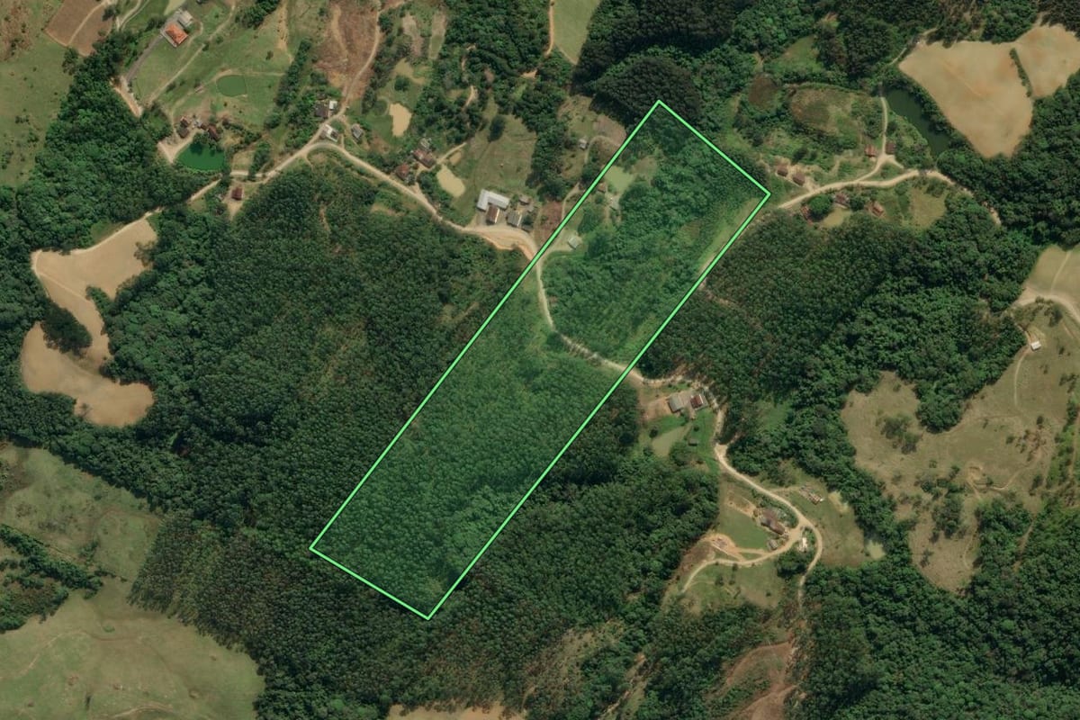 Imagem de satélite do imóvel rural em Apiúna (SC), com o contorno declarado no CAR desenhado por cima.