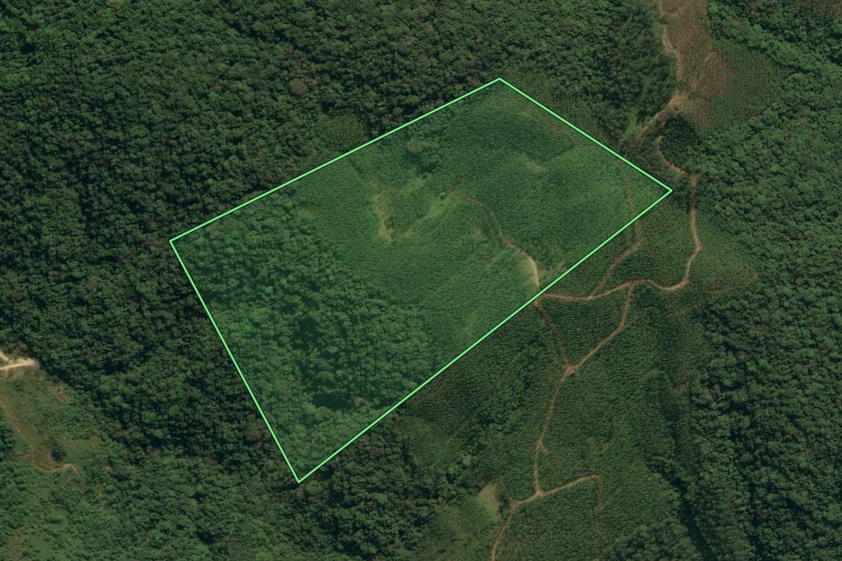 Imagem de satélite do imóvel rural em Apiúna (SC), com o contorno declarado no CAR desenhado por cima.
