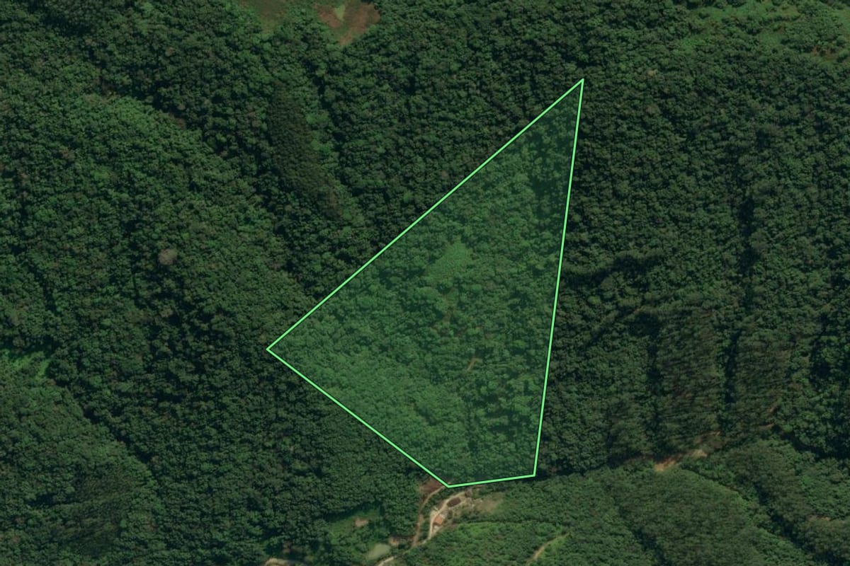 Imagem de satélite do imóvel rural em Apiúna (SC), com o contorno declarado no CAR desenhado por cima.