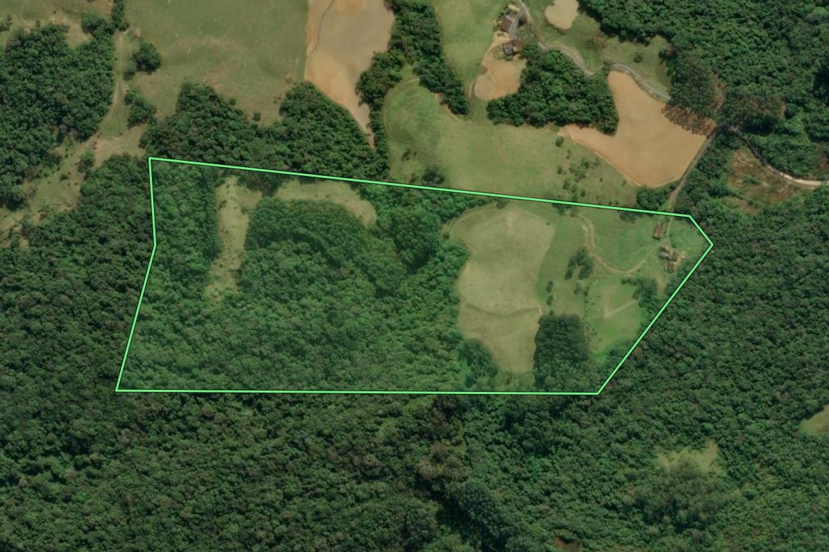 Imagem de satélite do imóvel rural em Apiúna (SC), com o contorno declarado no CAR desenhado por cima.