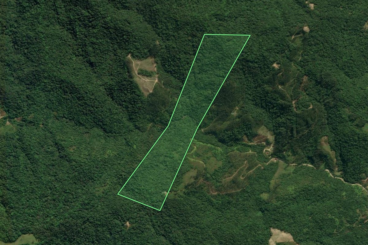 Imagem de satélite do imóvel rural em Apiúna (SC), com o contorno declarado no CAR desenhado por cima.