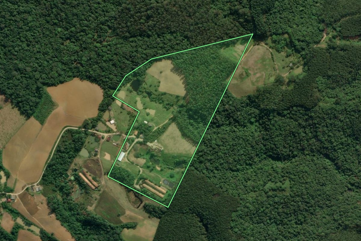 Imagem de satélite do imóvel rural em Apiúna (SC), com o contorno declarado no CAR desenhado por cima.