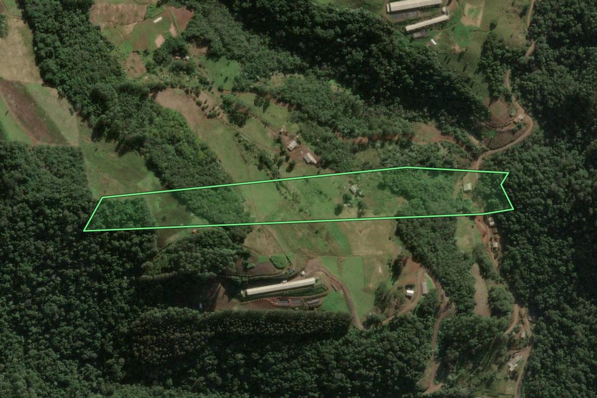Imagem de satélite do imóvel rural em Arabutã (SC), com o contorno declarado no CAR desenhado por cima.