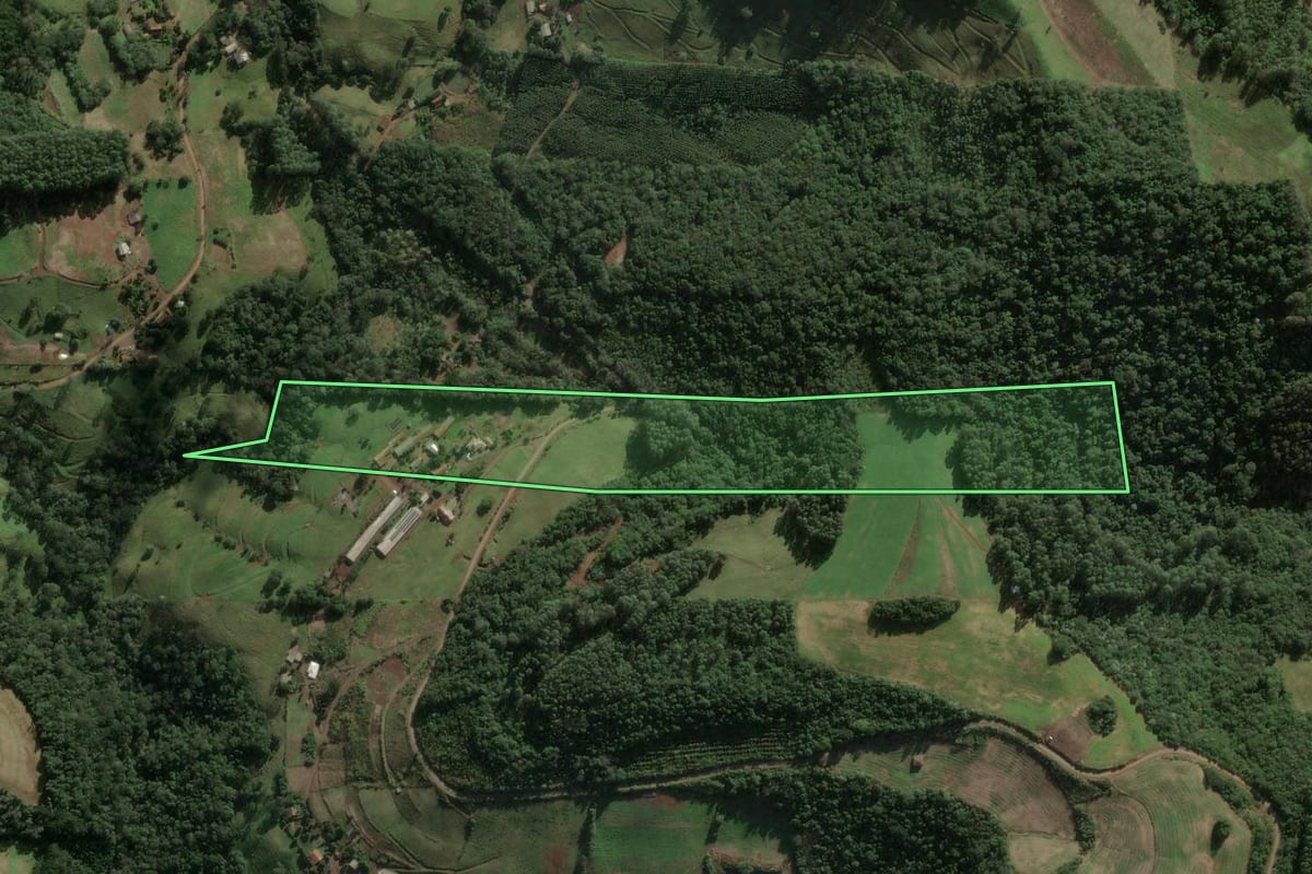 Imagem de satélite do imóvel rural em Arabutã (SC), com o contorno declarado no CAR desenhado por cima.