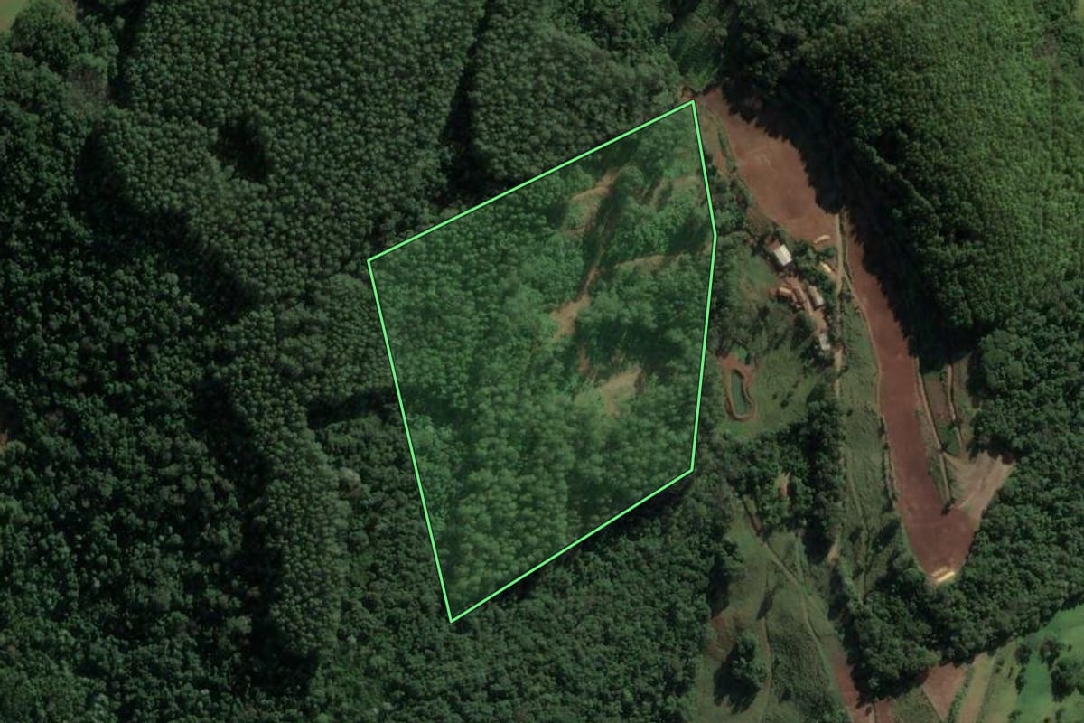 Imagem de satélite do imóvel rural em Arabutã (SC), com o contorno declarado no CAR desenhado por cima.