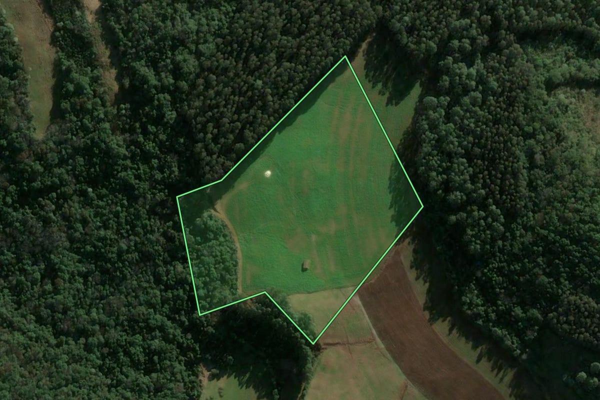Imagem de satélite do imóvel rural em Arabutã (SC), com o contorno declarado no CAR desenhado por cima.