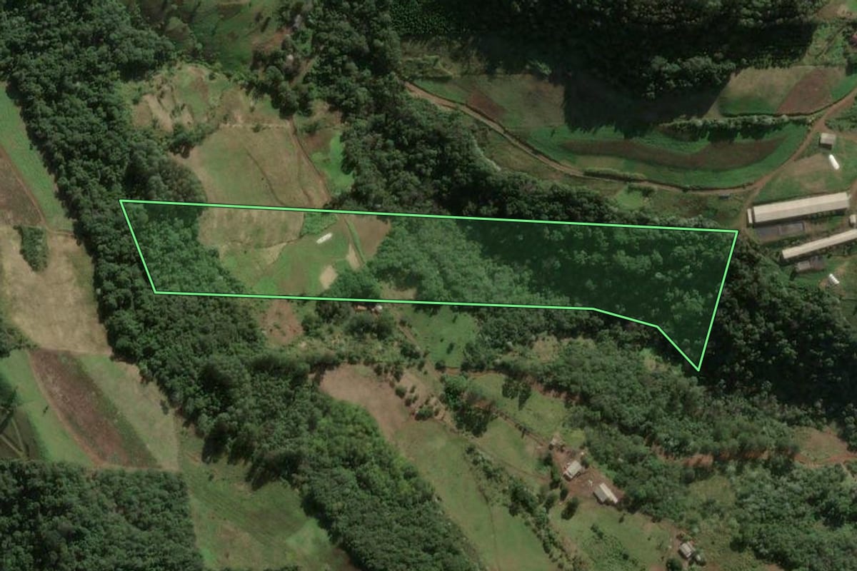 Imagem de satélite do imóvel rural em Arabutã (SC), com o contorno declarado no CAR desenhado por cima.
