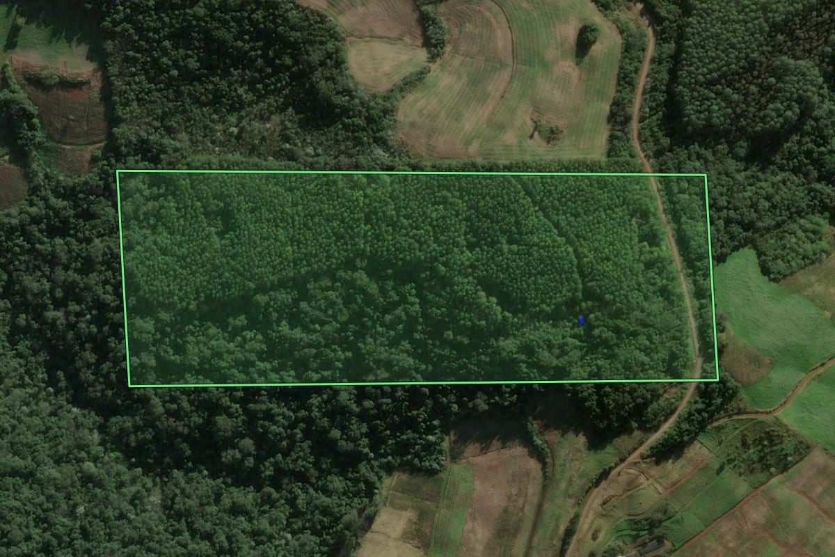 Imagem de satélite do imóvel rural em Arabutã (SC), com o contorno declarado no CAR desenhado por cima.