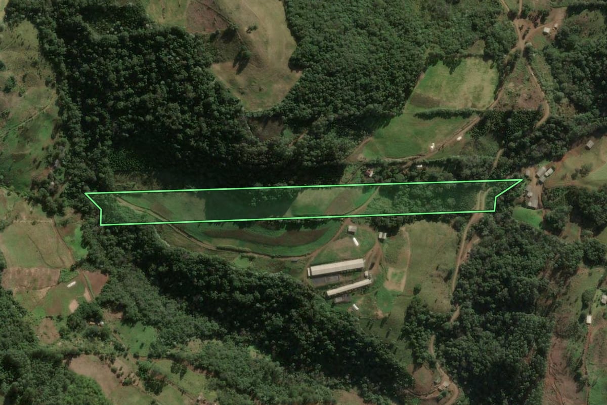 Imagem de satélite do imóvel rural em Arabutã (SC), com o contorno declarado no CAR desenhado por cima.