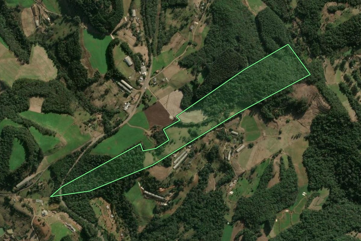 Imagem de satélite do imóvel rural em Arabutã (SC), com o contorno declarado no CAR desenhado por cima.