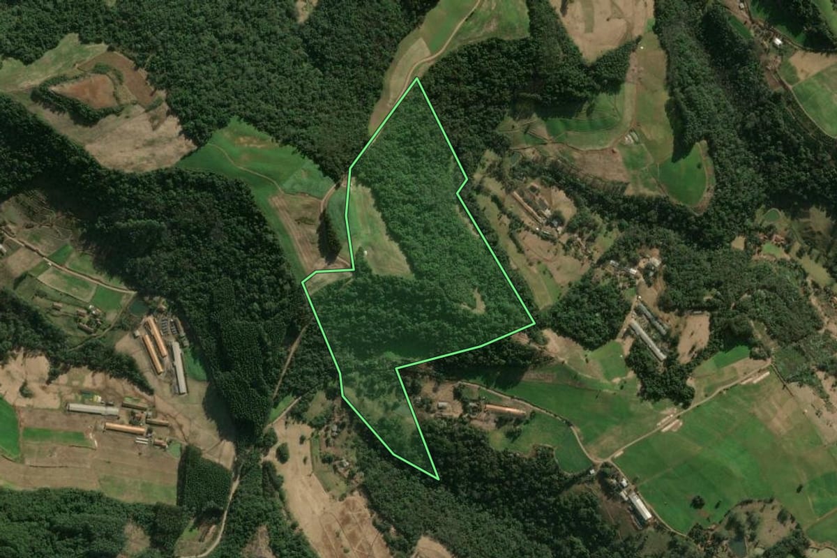 Imagem de satélite do imóvel rural em Arabutã (SC), com o contorno declarado no CAR desenhado por cima.
