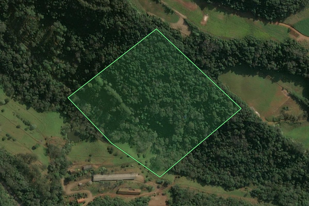 Imagem de satélite do imóvel rural em Arabutã (SC), com o contorno declarado no CAR desenhado por cima.