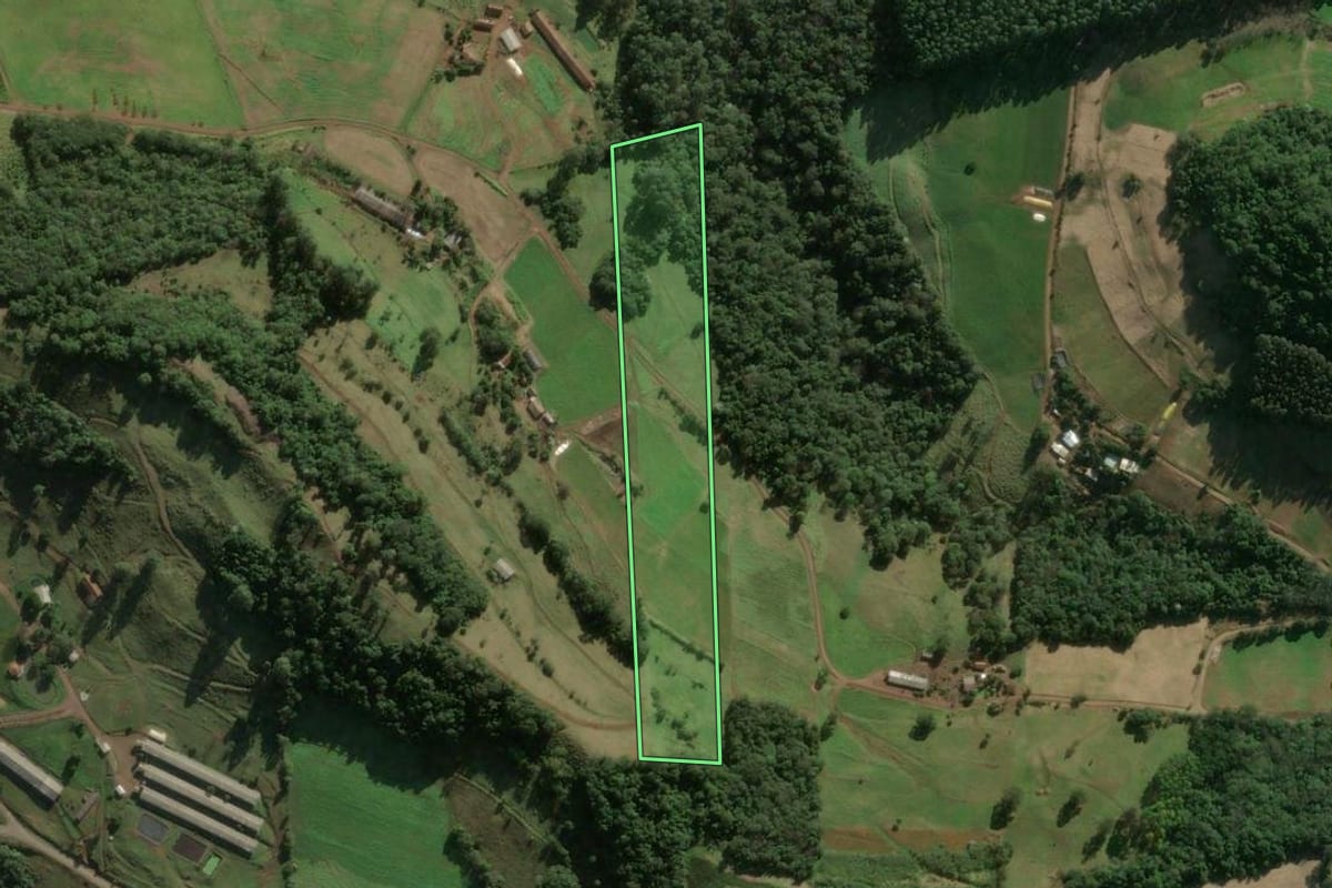 Imagem de satélite do imóvel rural em Arabutã (SC), com o contorno declarado no CAR desenhado por cima.