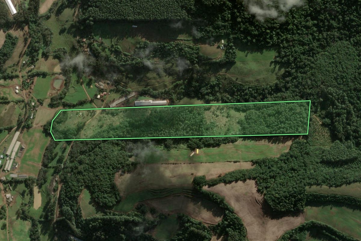 Imagem de satélite do imóvel rural em Arabutã (SC), com o contorno declarado no CAR desenhado por cima.