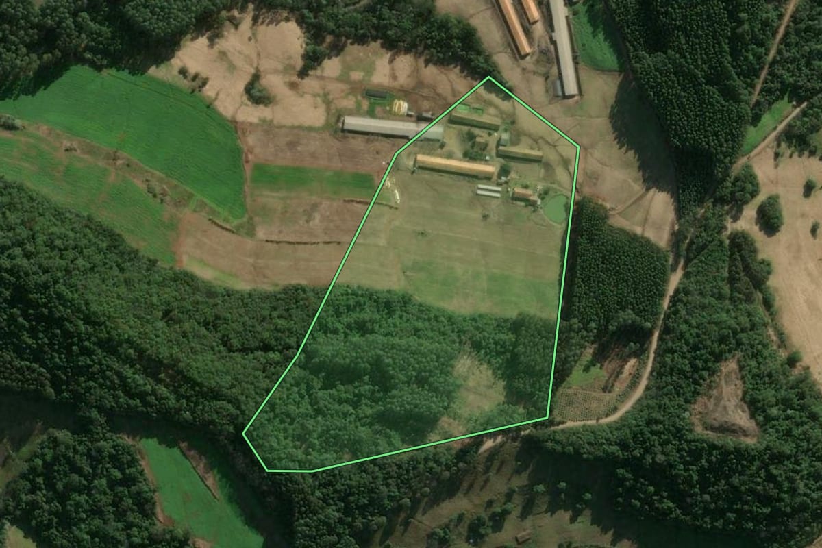 Imagem de satélite do imóvel rural em Arabutã (SC), com o contorno declarado no CAR desenhado por cima.