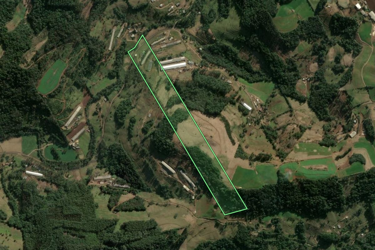 Imagem de satélite do imóvel rural em Arabutã (SC), com o contorno declarado no CAR desenhado por cima.